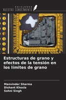 Estructuras De Grano Y Efectos De La TensióN En Los LíMites De Grano Taschenbuch