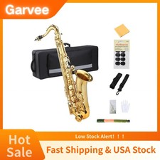 Complete Accessories Equipped On This Student Alto Saxophone, E Flat Gold Lacque