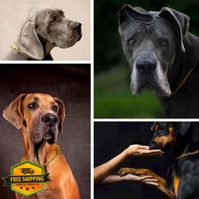 Gold Chain Choke Collar XL 4.0mm Metal Slip Training Dog Martingale Collar