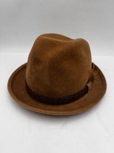Stetson Sovereign | eBay