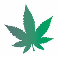 Stencils by Joanie Marijuana Weed Leaf Stencil Pot Hemp DIY Hippie Art Signs