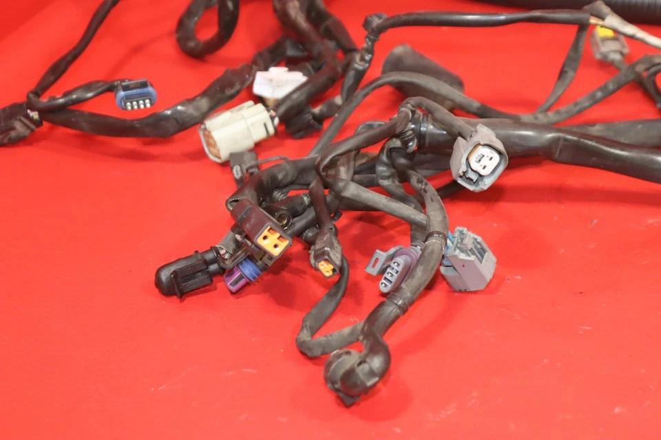 Harley-Davidson Dyna Low Rider FXDL 2007 arnés de cableado principal telar de alambre sin cortar Foto 2 de 4