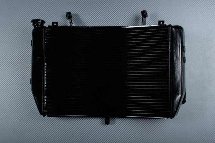 Radiateur Eau YAMAHA YZF R1 Anti Surchauffe Aluminium pour RN19 2007