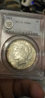 1922 Peace Silver Dollar PCGS MS64