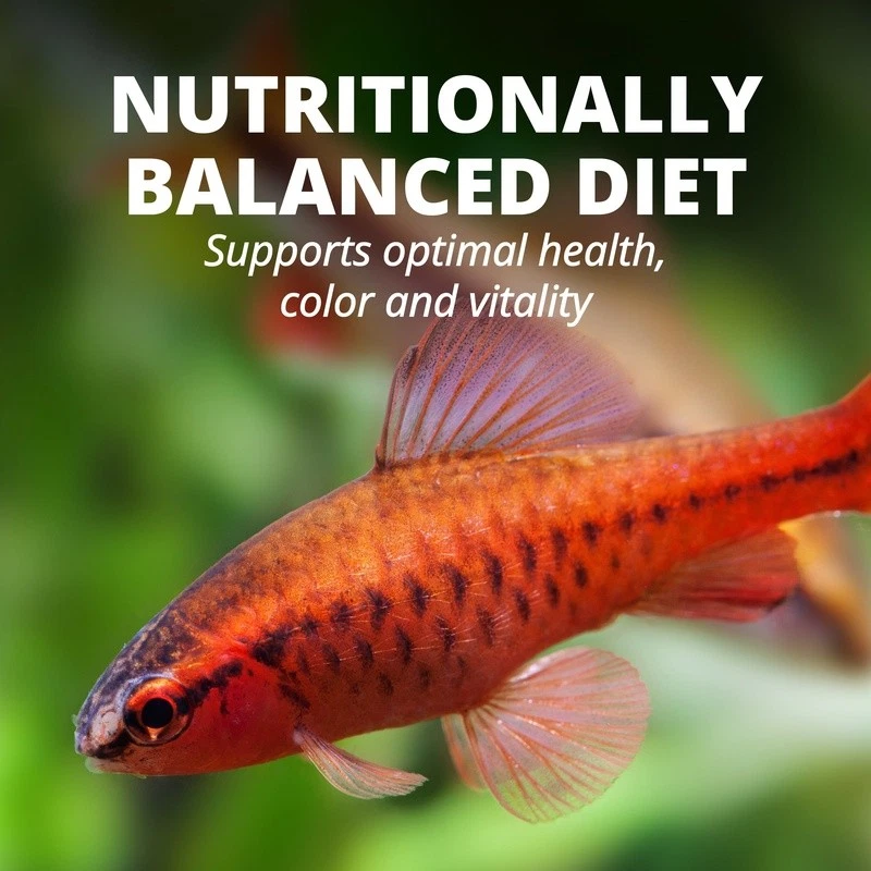 Copos de color tropical alimento para peces fórmula de vida activa nutrición de agua clara nuevo Foto 4 de 4