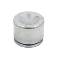 Kolben, Bremssattel Autofren Seinsa D025495, Vorne