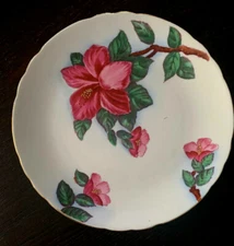 Tuscan Fine English Bone China Hawaiian Flowers Plate No C 9453, Red Hibiscus
