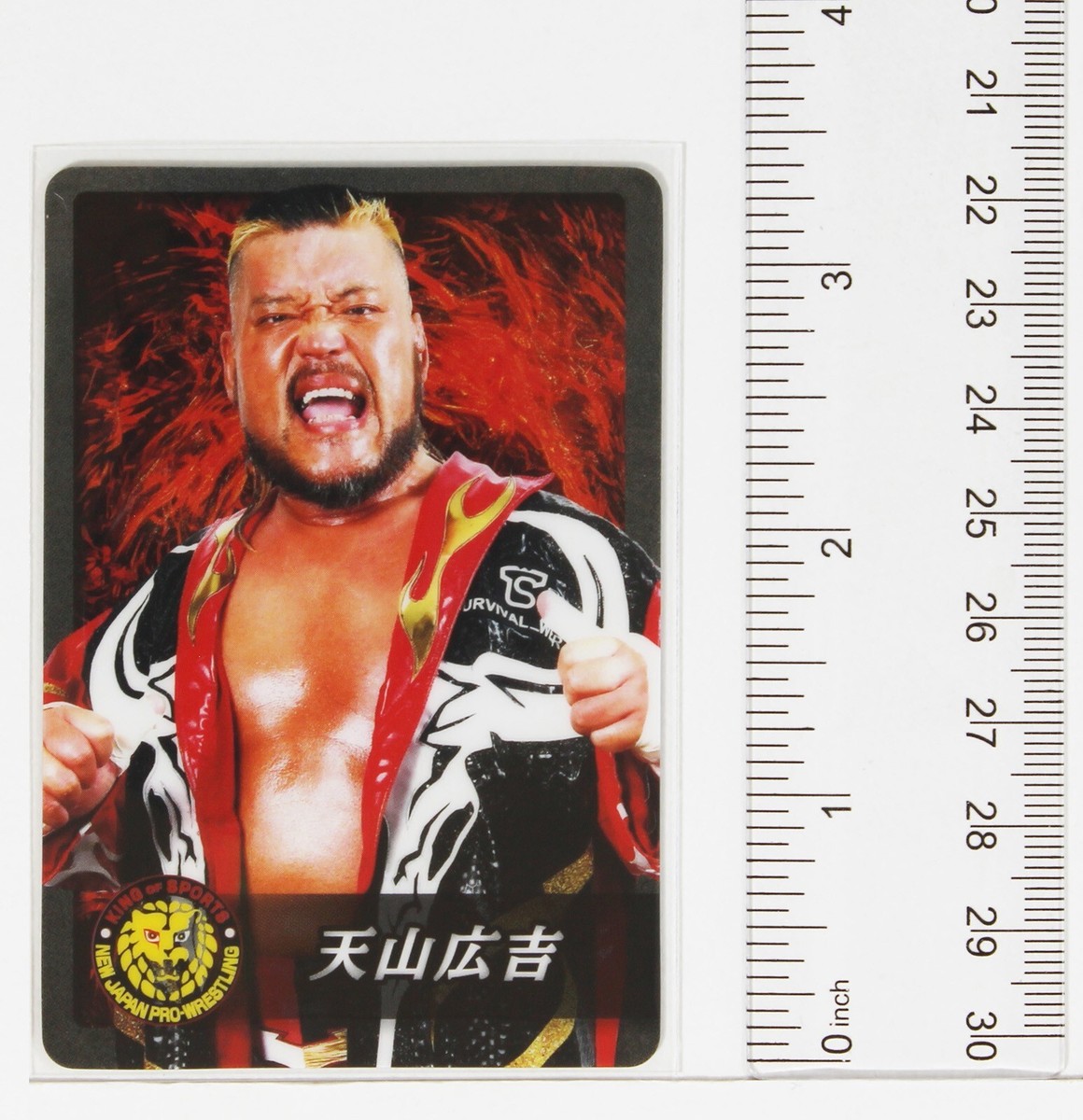 Hiroyoshi Tenzan - New Japan Pro Wrestling WAFERS Trading Card | eBay