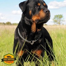 Metal Training Dog Chain Collar Slip Link Heavy Duty Puppy XS Silver