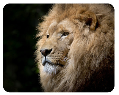 Mousepad Löwe 24x19 Afrika König Tier Steppe Lion Tiger Mauspad Unterlage