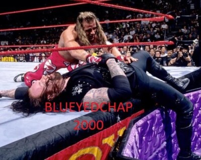 SHAWN MICHAELS VS THE UNDERTAKER WRESTLER 8 X 10 WRESTLING PHOTO WWF