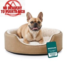 Pet Products Medium Foam Oval Lounger Dog Cat Bed With Reversible Pillow,Nutmeg