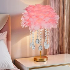Bedside Table Feather Lamp Night Light with 3 Color Changing LED Lamp, Plug i...