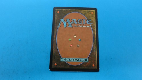 FOIL WHITEMANE LION CREATURE CAT PLANAR CHAOS MTG MAGIC THE GATHERING NM - 第 2/2 張圖片