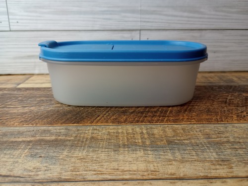 Tupperware Contenitore Vintage 1-1191 con Coperchio Blu 2 Tazze 500 ML - Foto 8 di 13