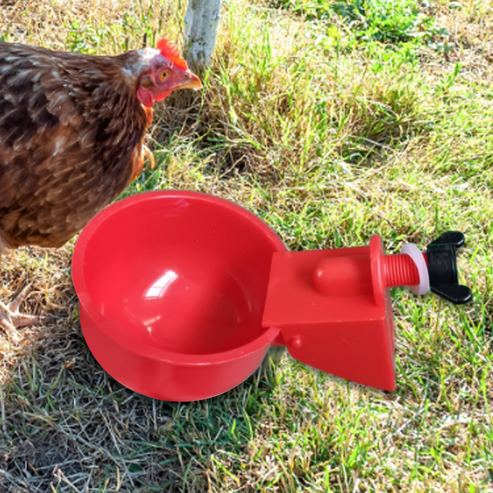 6Pcs Chicken Drinker Cup Kit Automatic Livestock Feeding Watering