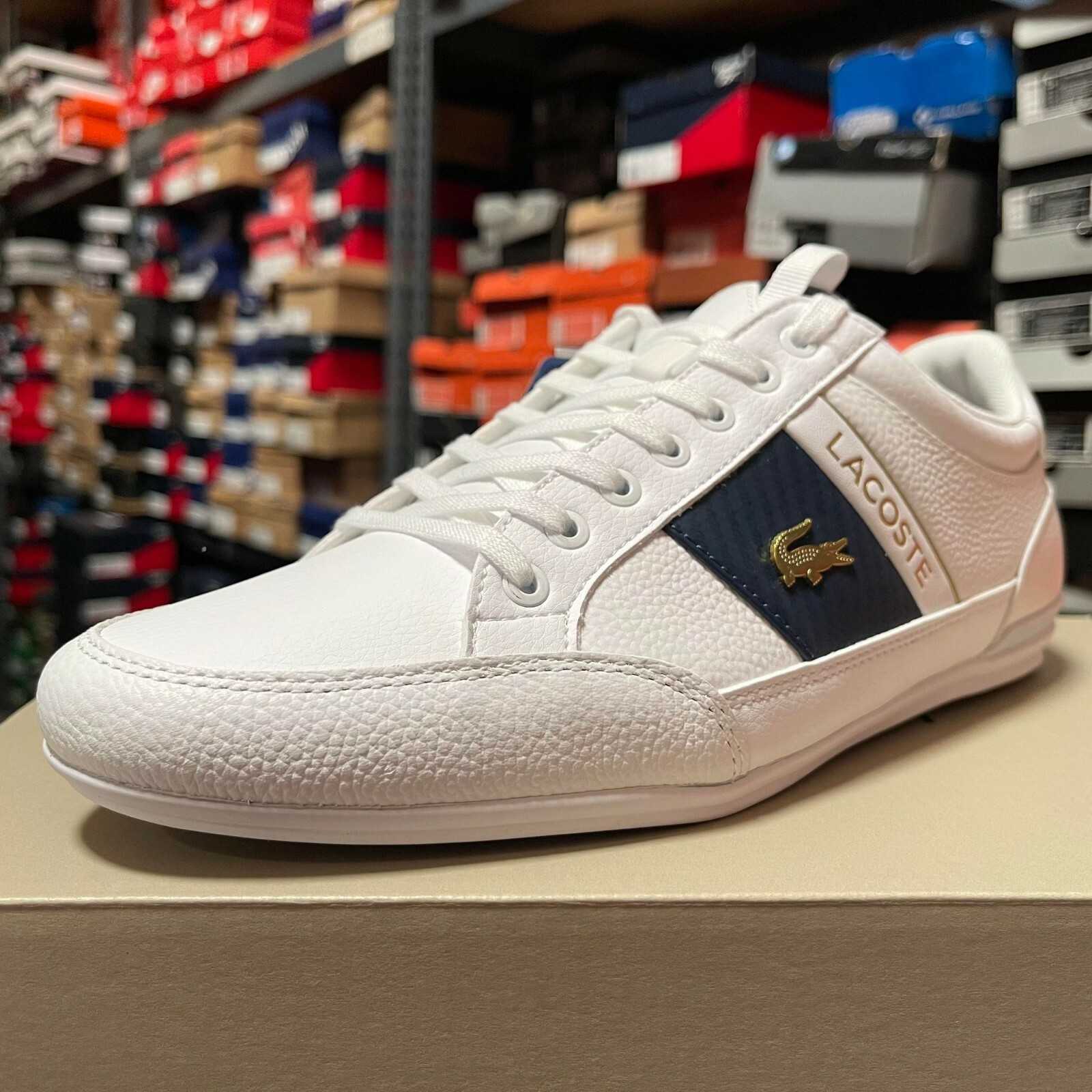 LACOSTE CHAYMON WHITE/NAVY/RED 7 