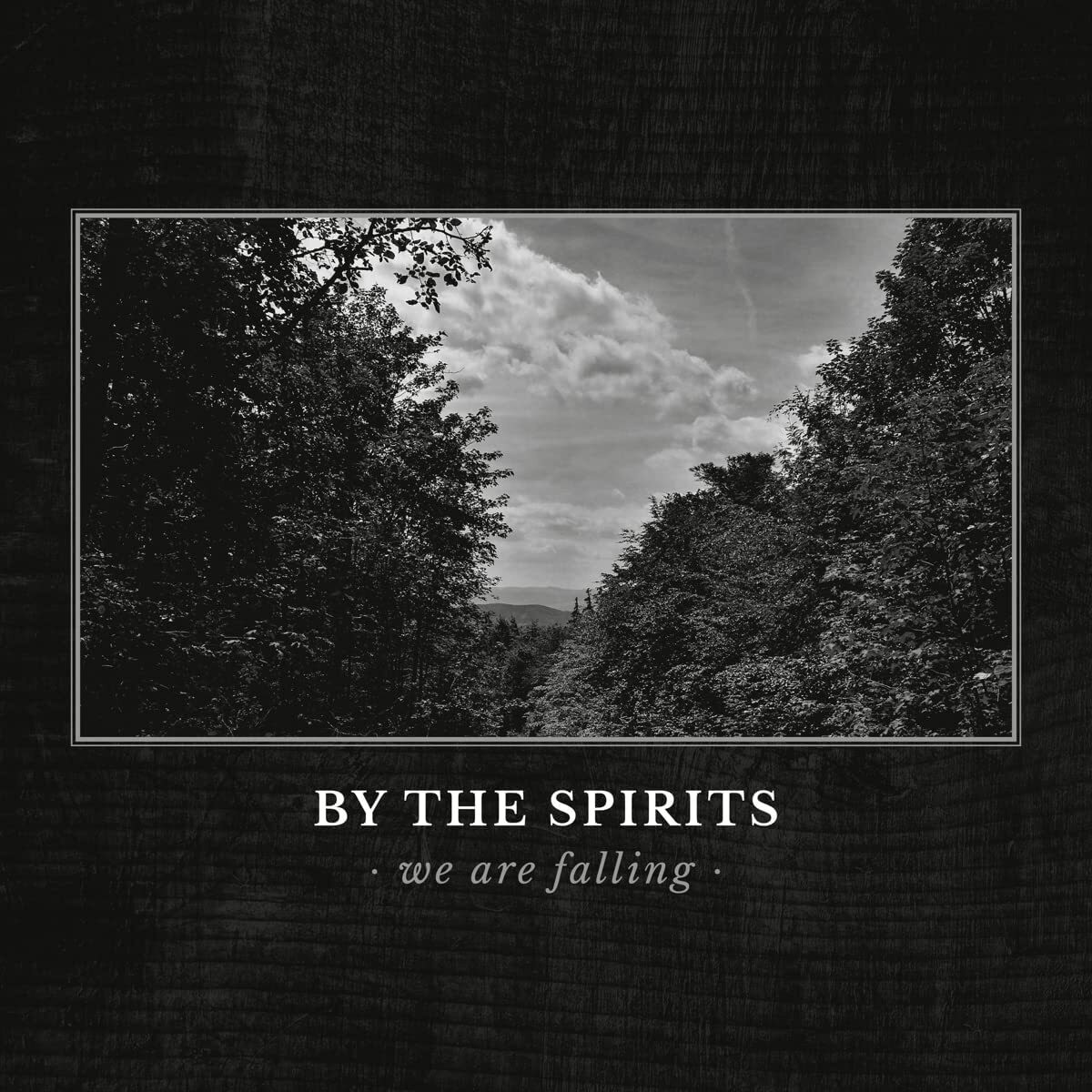 Альбом the Spirits We Are Falling (CD) (ИМПОРТИРОВАН из Великобритании)