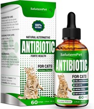 Cat Antibiotic Infections UTIs Respiratory Moments Cold Allergies Antibiotics