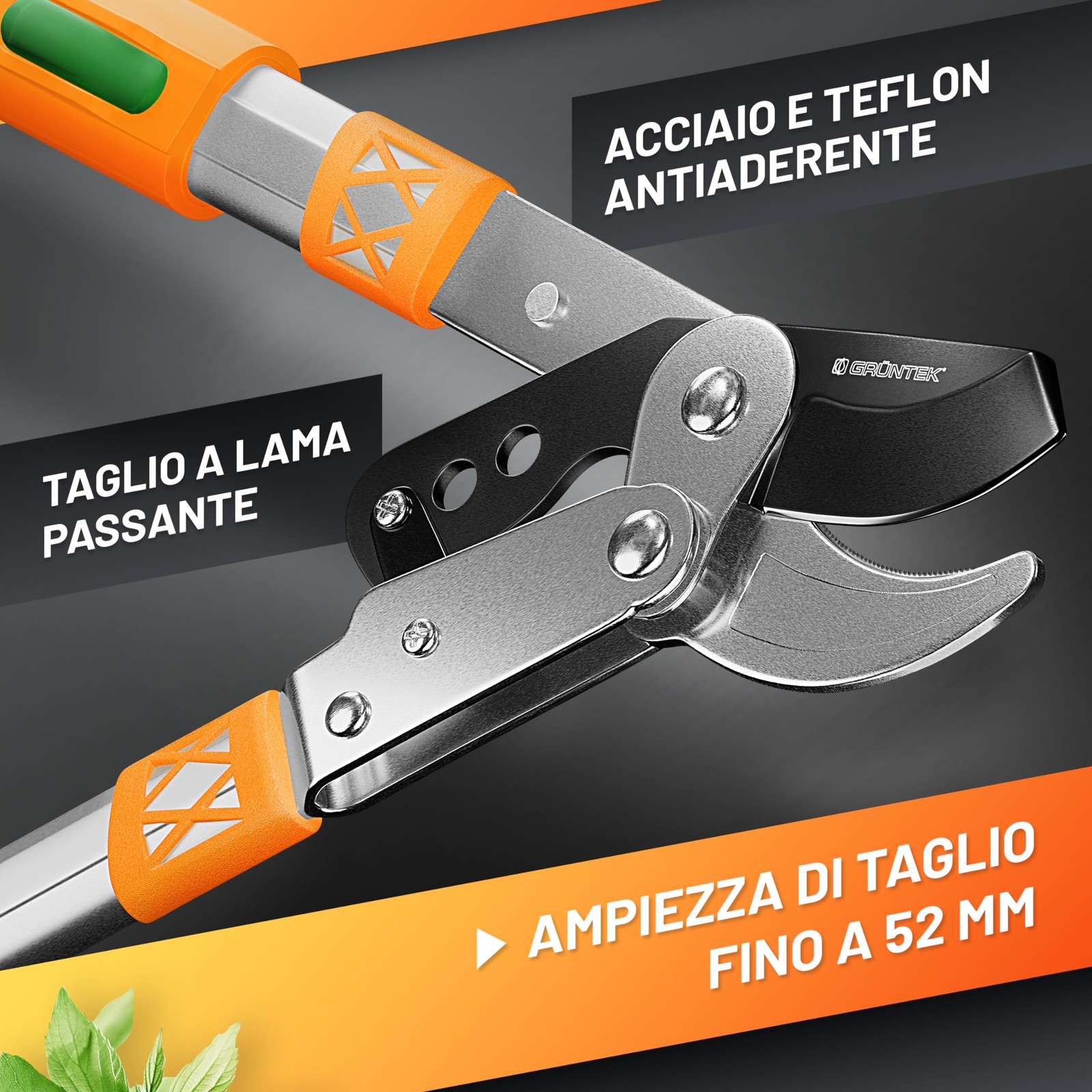 Foto 16 di 24