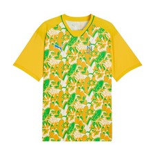 Puma Brazil Fifa World Cup Neymar Jr Teamsport Jersey Brazil Neymar Jr 10 Mens