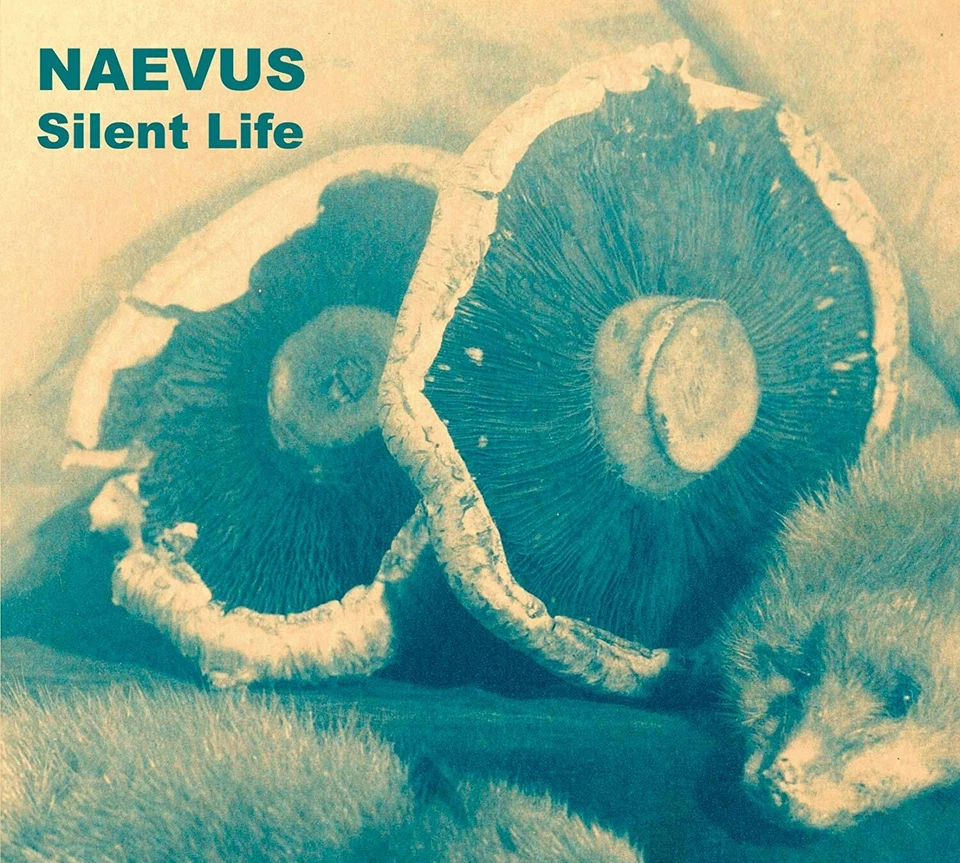 NAEVUS – Silent Life CD Death In June Joy Division Crisis Sol Invictus - Bild 1 von 1