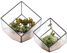 Geometric Glass Terrarium Planter for Succulents  Air Plants - Set of 2