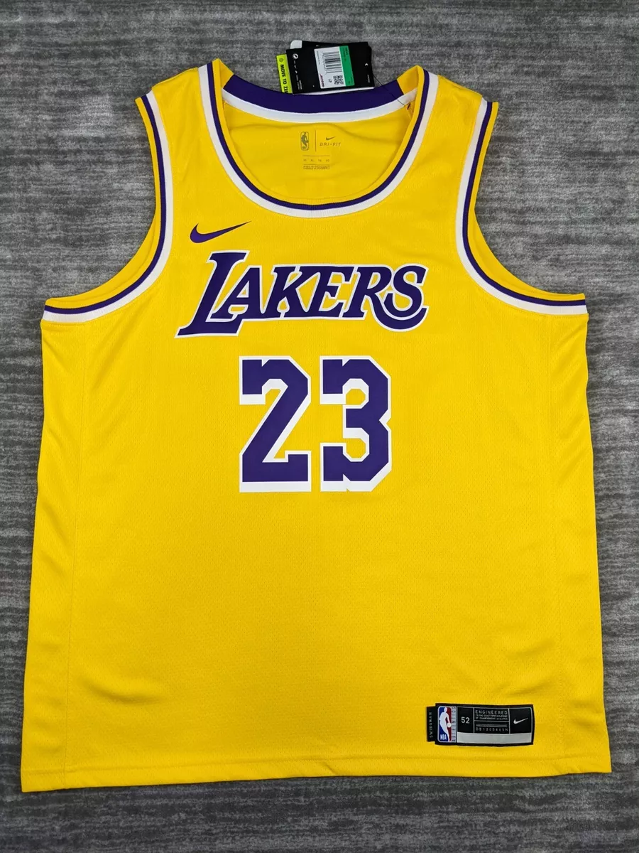 Nike Swingman Los Angeles Lakers LeBron James Jersey NWT Size X-Large