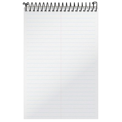 Docket Gold Steno Book, 6'' x 9'', Gregg Rule, Clear Poly Cover, 100 Sheets (99...
