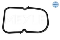 Meyle 014 027 2008 Dichtung Des Automatikgetriebes Passt Zu: Mercedes 123 (C123)