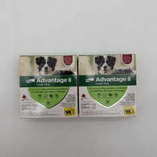 2 X 4 MONTH Advantage II for Large Dog 21-55 Lbs - 2 Pack - Free shipping