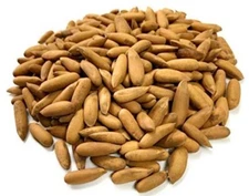 Dry fruits Chilgoza Pine Nut Pinus Gerardiana, Pinenuts Chilghoza Dry fruits