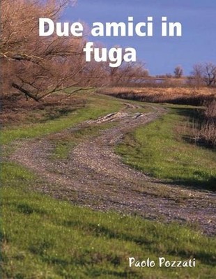 Due Amici in Fuga by Paolo Pozzati (Italian) Paperback Book