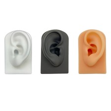 1:1 Human Ear Silicone Model Simulation Display Props Jewelry Display Earrings