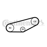 Continental Ctam 4PK855K1 Keilrippenriemensatz FÜR Audi Skoda VW