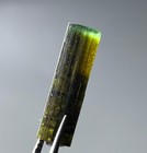 Green  Cap Tourmaline Crystal   from Afghanistan 5 Ct