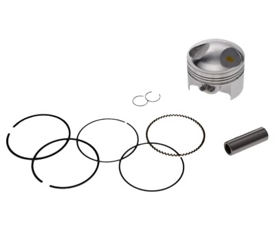 Kolben Ringe Satz 54,00 / 13 / 19 mm Motor ZS154FMI für China Cross 110 125 4T