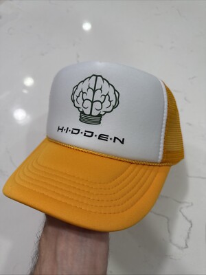 HIDDEN NY X NERD TRUCKER SNAPBACK HAT N.E.R.D Pharrell Skateboard