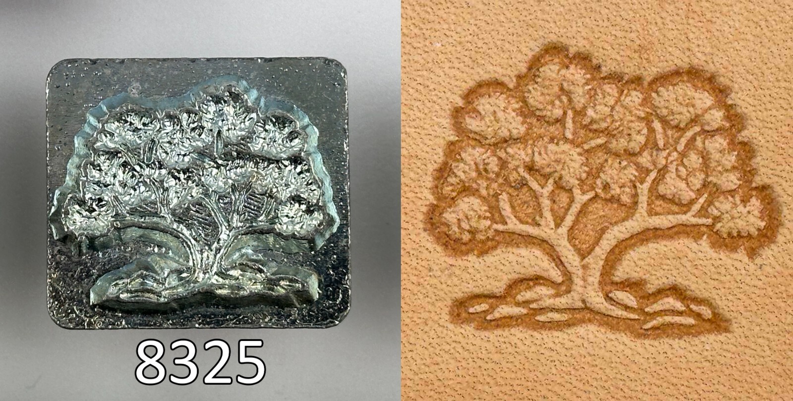 Foto 11 di 22