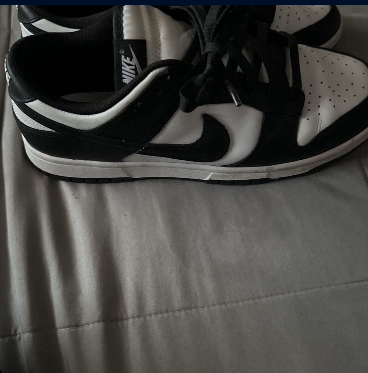 Panda Dunk Lows - image 1
