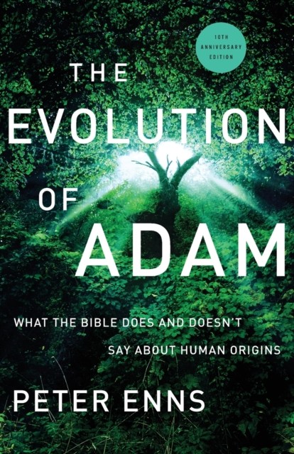 The Evolution of Adam – What the Bible Does and Doesn`t Say about Human Origins - Image 4