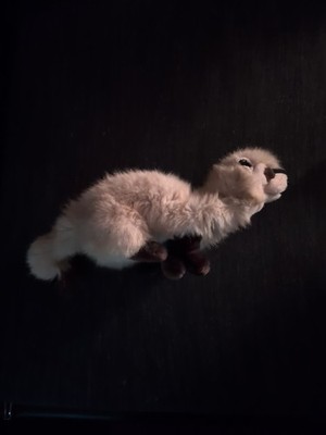 Folktails Folkmanis Vintage Frettchen Ferret Realistic Hand Puppet  