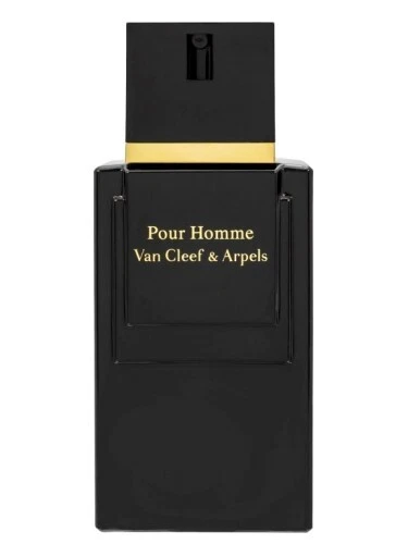 Preços baixos em Van Cleef & Arpels Pour Homme Perfumes para