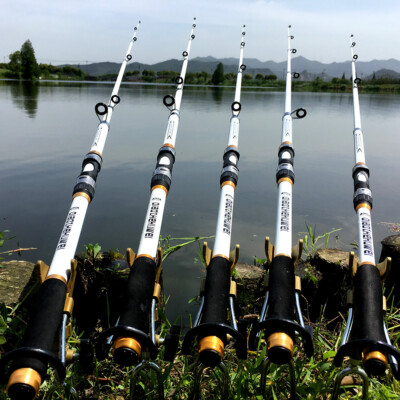 Canne à Pêche Télescopique Carbone – 2,25 M à 3,9 M – Légère, Portable, Idéale Carpe/Truite