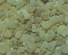Weihrauch Oman Hojari, grünl., Boswellia Sacra  groß 6-20mm, Ernte 2023, 20gr