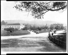 View of the campus of the University of at Berkeley 1900 California Old Photo
