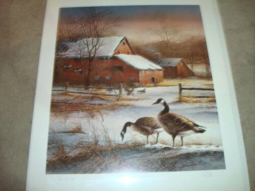 Kunstdrucke mit Tier-Thema