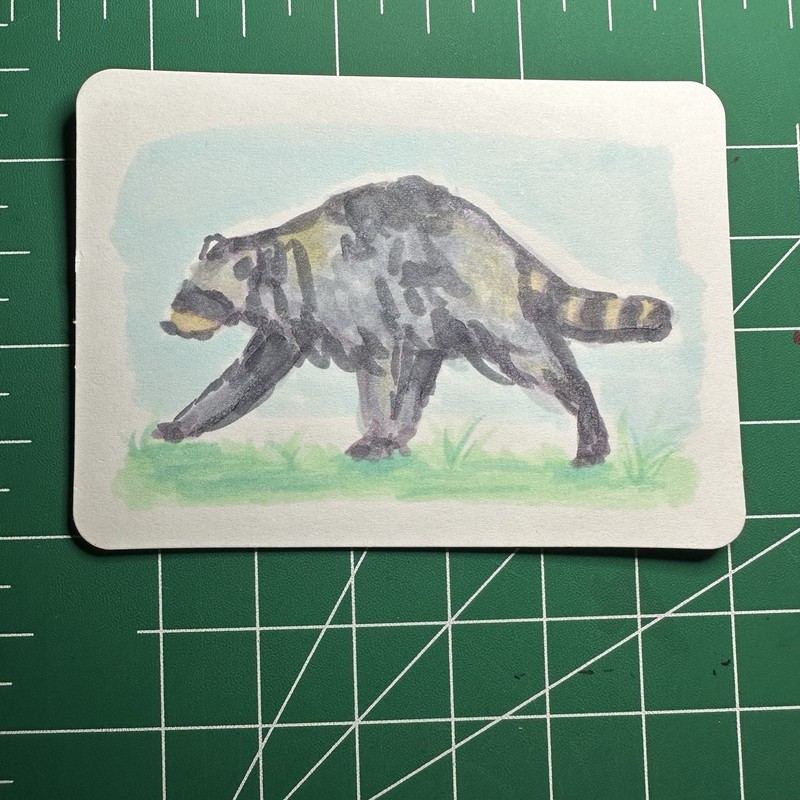ACEO Original Art Card, Alcohol Marker Sketch Of A Raccoon