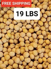19lb Bag Soybean Seeds Unwashed NEW HARVEST CROP 2025