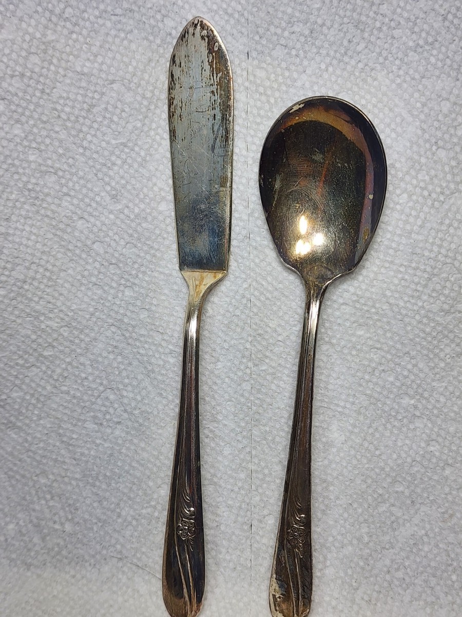 H & T MFG CO SUGAR SPOON & JAM KNIFE c1940 MEADOW FLOWER